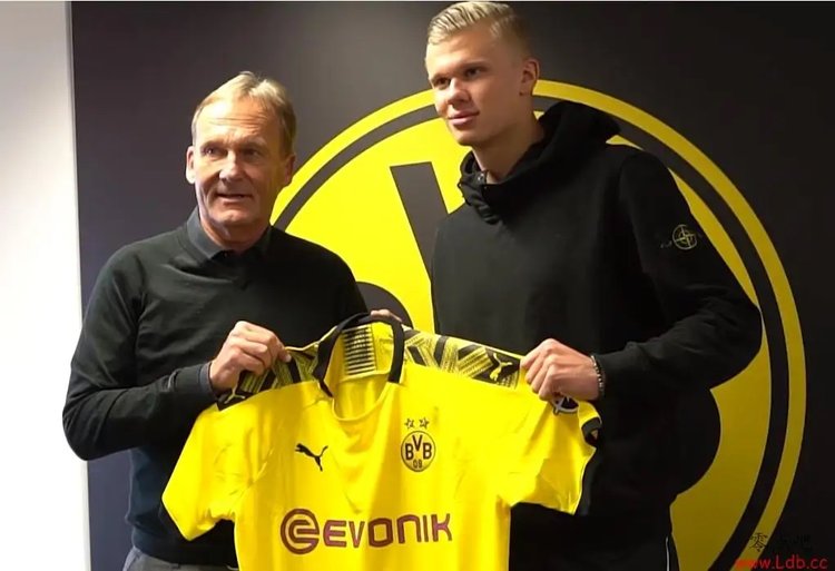 三角平衡 三角平衡