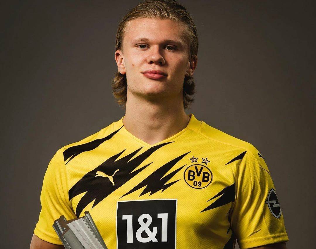 转会市场再 转会市场再